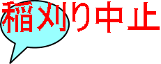 稲刈り中止
